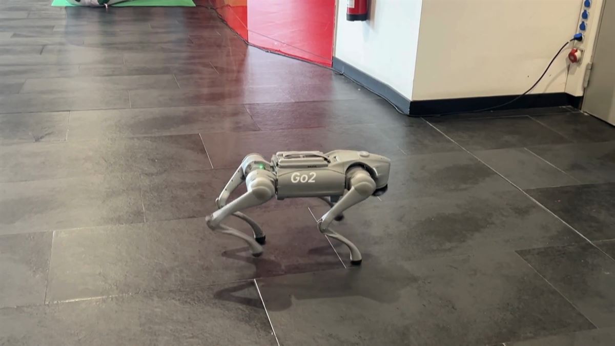 Unitree Go2 Plus, el perro robótico de''IA & Robotics Lab''. 