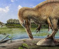 Dinsosaurios de sangre caliente hace 180 millones de años. Riojavenatrix lacustris, el espinosaurio riojano