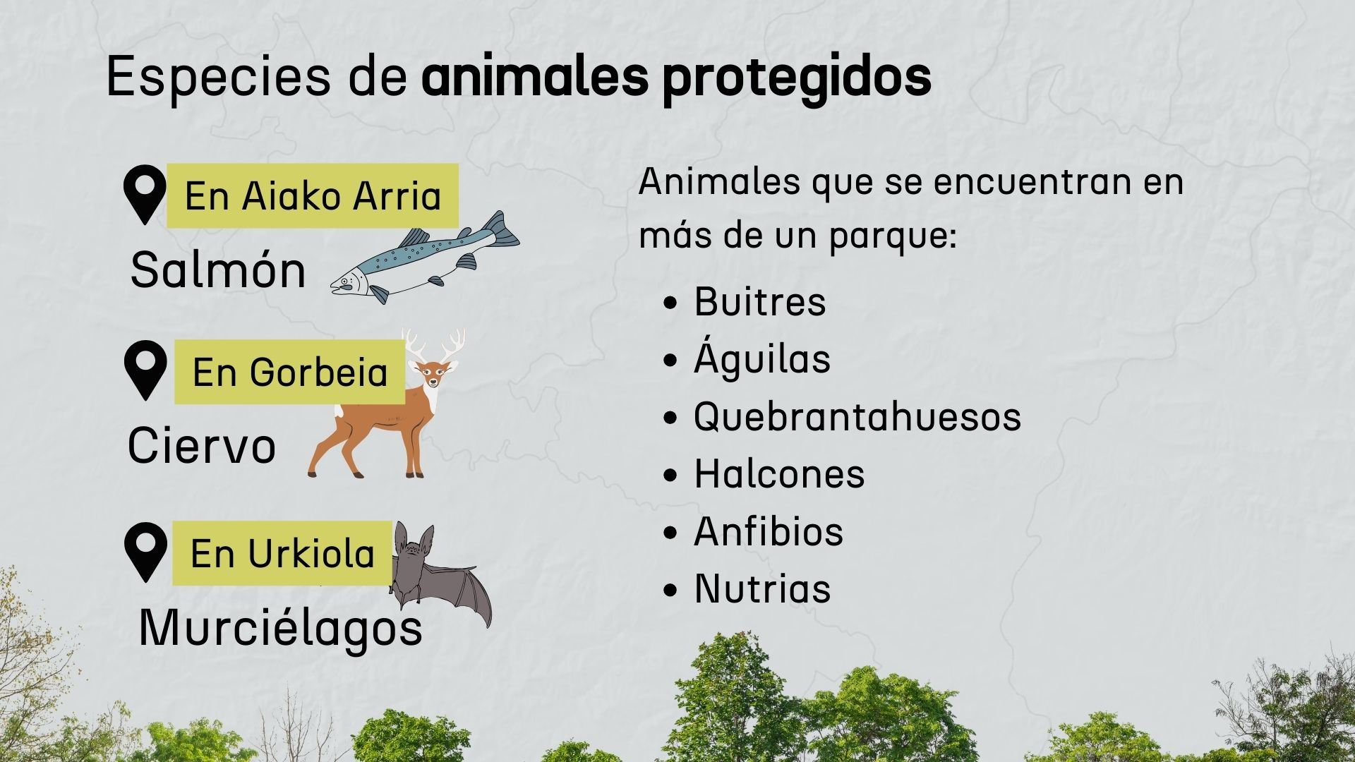 Algunas especies de animales protegidos que viven en nuestros parques.