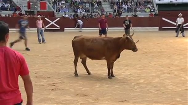 ¿Tiene que haber vaquillas en fiestas Vitoria-Gasteiz?