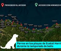 ¿A qué playa de Euskal Herria puedo ir con mi perro este verano?