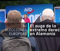 La ultraderecha alemana AfD será la segunda fuerza más votada en las elecciones europeas, según las encuestas