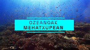 Klima-aldaketaren eta berotze globalaren eragina % 90 inguru arintzen laguntzen dute ozeanoek