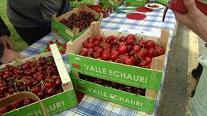 Etxauriko gerezi azoka egin dute, lehorteagatik iazkoa bertan behera geratu ostean