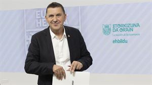 Otegi sitúa dentro de una tendencia estructural los buenos resultados de EH Bildu en las europeas