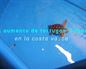 Aquarium de Donostia: 'Estamos sorprendidos por la cantidad de tortugas 'bobas' que nos han llegado'