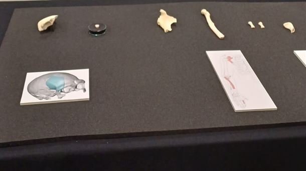 Presentación del hallazgo arqueológico de restos humanos de hace más de 150.000 años en Arkeologia Museoa