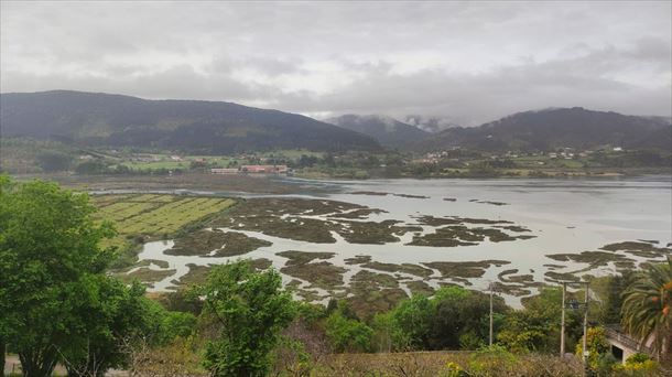 Reserva de la biosfera de Urdaibai.