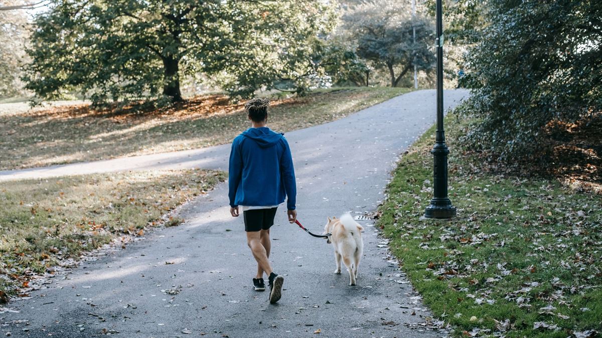 Un hombre paseando a su perro