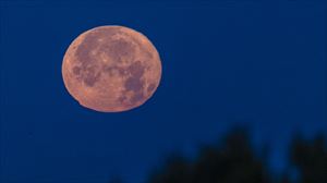 'Marrubi Ilargia' udako lehen ilbeteak liluratu gaitu bart