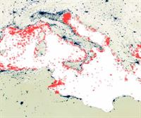 Localizan vía satélite regueros de plástico en el mediterráneo. Blanca Madurga y La salud sexual masculina