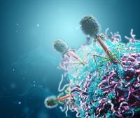 Virus bacteriófagos para acabar con bacterias multirresistentes. Estudian posibles funciones del arte parietal