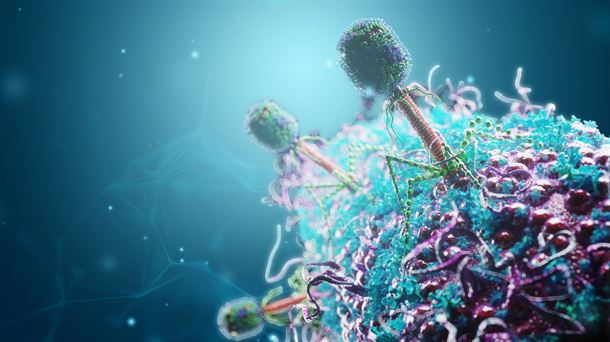 Virus bacteriófagos para acabar con bacterias multirresistentes. Estudian posibles funciones del arte parietal