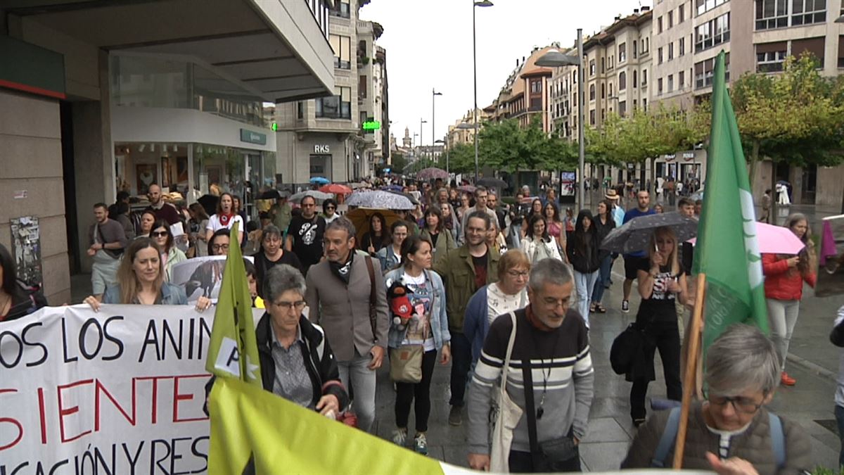 Decenas de personas piden en Pamplona terminar con la tauromaquia