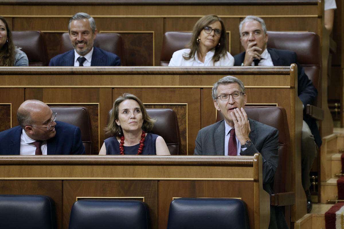 El líder del PP, Alberto Núñez Feijóo, este jueves en el Congreso. Foto: EFE