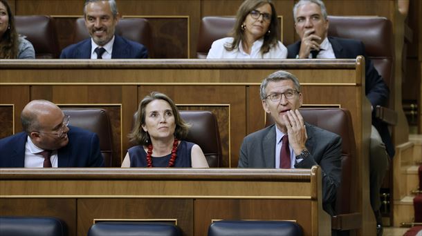 El líder del PP, Alberto Núñez Feijóo, este jueves en el Congreso. Foto: EFE