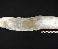 Estudios del pasado: denisovanos, el registro paleoclimático de estalagmitas de Ostolo y un sudario egipcio