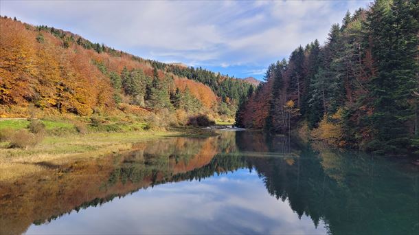 Irati (Navarra). Foto: Mikel Sagaseta