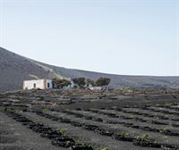 Lanzarote se prepara para WORLDCANIC, el Congreso Internacional de Cocinas y Ecosistemas Volcánicos
