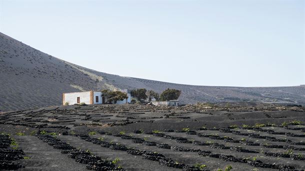 Lanzarote se prepara para WORLDCANIC, el Congreso Internacional de Cocinas y Ecosistemas Volcánicos

