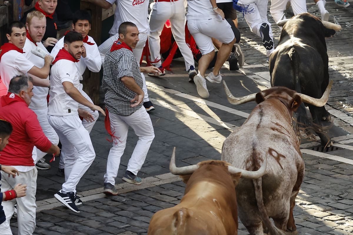 Los toros de la ganadería de Salamanca, hoy. 