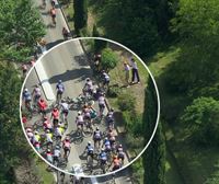 Eroriko handia izan da tropelean Frantziako Tourreko 12. etapan, tartean Roglic