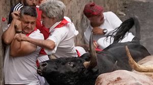 Jandilla arriskutsuek adarkatu bat utzi dute entzierro azkar batean