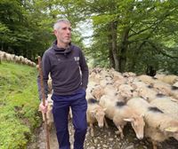 Josu Oiartzabal pasa el verano junto a cerca de 600 ovejas, en plena Sierra de Aralar