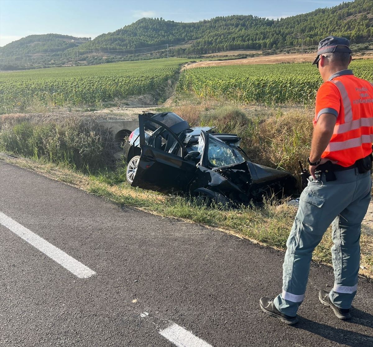 Accidente en Aibar (Navarra). Imagen: Policía Foral