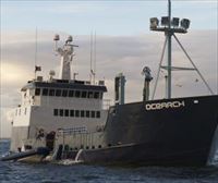 En busca de tiburones blancos en el Golfo de Bizkaia: a bordo del Ocearch