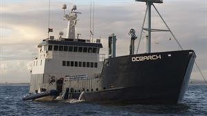 En busca de tiburones blancos en el Golfo de Bizkaia: a bordo del Ocearch