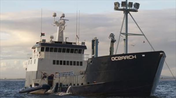 En busca de tiburones blancos en el Golfo de Bizkaia: a bordo del Ocearch