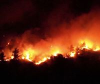 Entrevista a Ferran Dalmau (ingeniero forestal) en Radio Euskadi