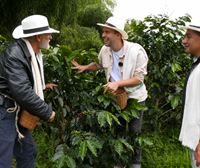 ¿Qué trabajo hay detrás de una taza de café? Conocemos todo el proceso en el Eje Cafetero, Colombia