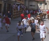 La tradición de correr el encierro se vive desde muy joven en Falces: Nos adentramos en la Bueyada infantil