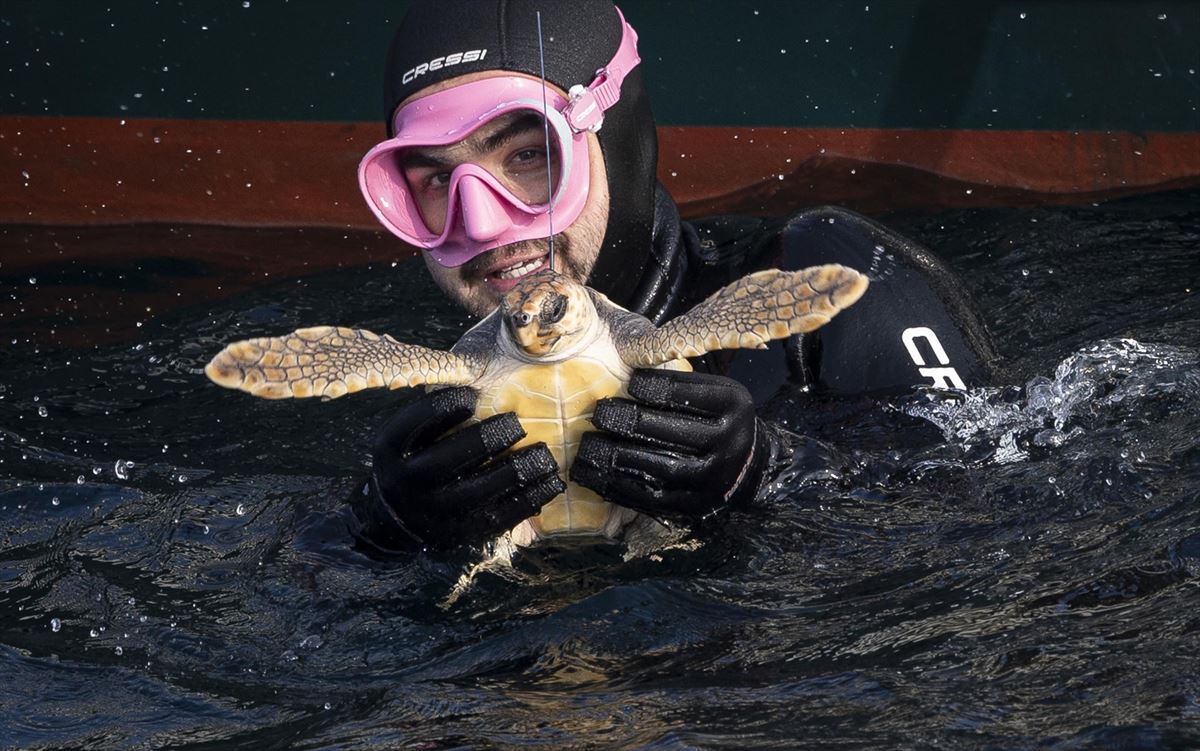 Una de las tortugas. Foto: EFE.