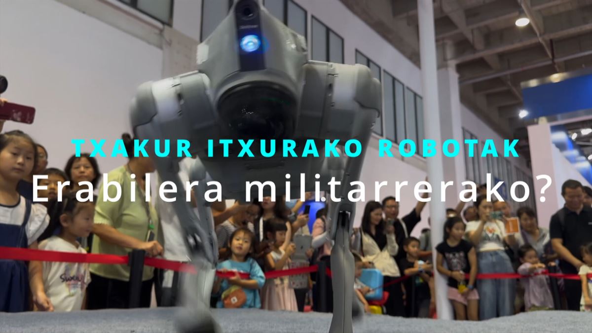 Txakur robota