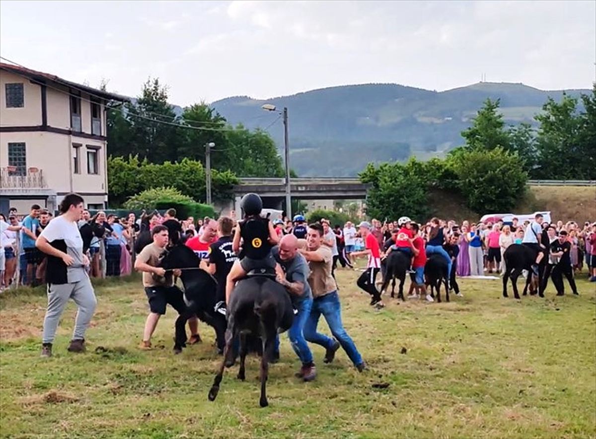 Una de las carreras denunciadas, en las que obligan a los burros a caminar hacia atrás.@HAIEKIN_ong 