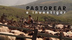 Elena Galán es investigadora en el BC3 sobre cambio climático, y en verano también es pastora asalariada