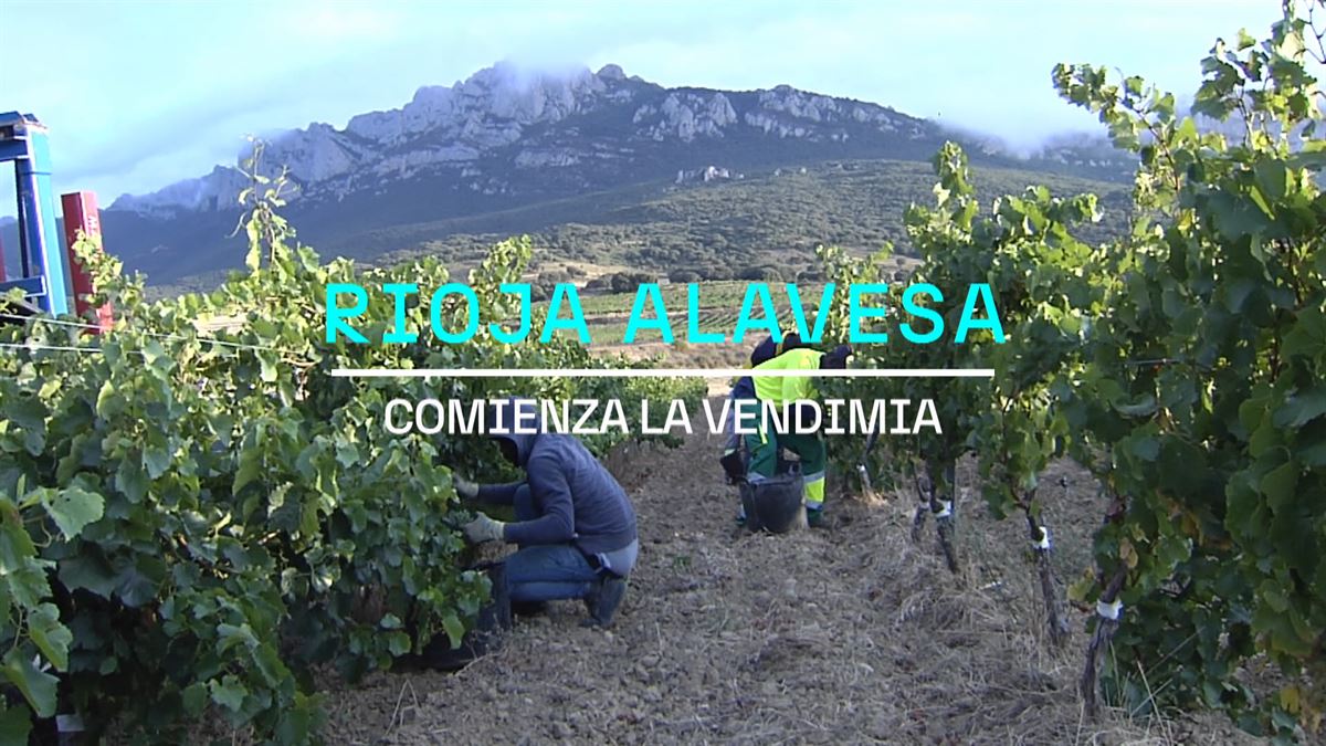 Rioja Alavesa. Imagen obtenida de un vídeo de EITB Media.