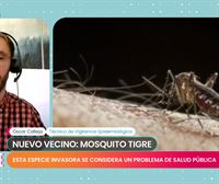 Óscar Calleja: ''La picadura del mosquito tigre es un vector para enfermedades como el Dengue o el Zika''