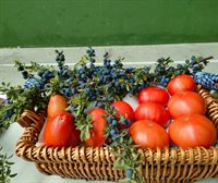 Homenaje a las personas mayores de Ribera Alta aderezado con el concurso de horticultura