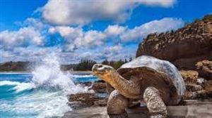 Galápagos: paraíso natural