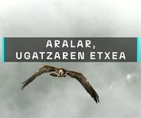 Aralarren jaiotako lehen ugatza hegaldiak egiten hasi da