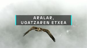 Aralarren jaiotako lehen ugatza hegaldiak egiten hasi da