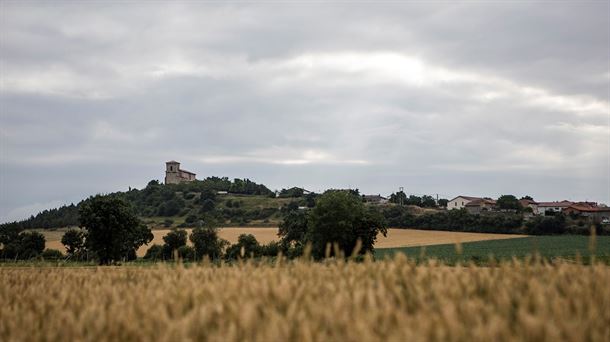 Campos de cerea y al fondo, el concejo de Estarrona. BORJA TRIVIÑO