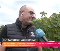 ¿Peor calidad del txakoli por la lluvia?