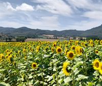 La UAGA reclama una moratoria de proyectos fotovoltaicos y eólicos hasta que se apruebe el PTS de renovables 