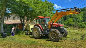 Enplegua eta baserria bateragarri egiten saiatzeko dirulaguntzen lehen deialdia Gipuzkoan