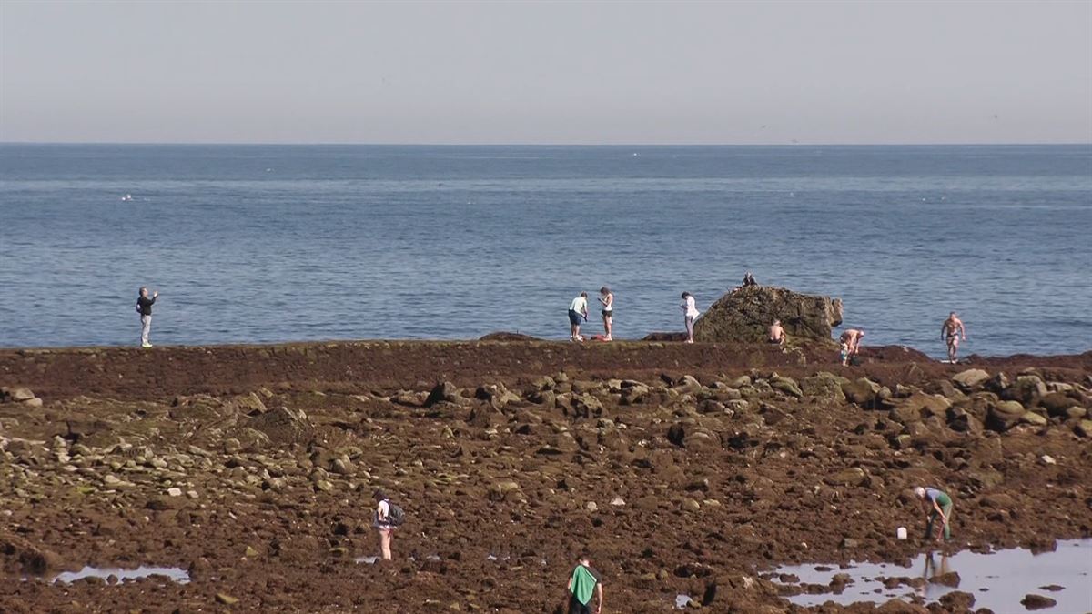 ¿Está el mar ganando terreno a la costa debido a la crisis climática? 